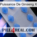 Ginseng Power X 21